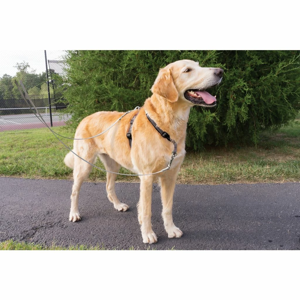 PetSafe Two-Point Control Dog Leash, 3/4 in. 5 PetSafe Two-Point Control Dog Leash, 3/4 in. - Image 3