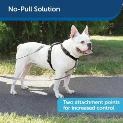 PetSafe 3-in-1 Reflective Dog Harness with 2-Point Control Leash -PetSafe Store 1530613 A4