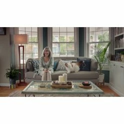 PetSafe Scoop-Free Self-Cleaning Cat Litter Box 23 PetSafe Scoop-Free Self-Cleaning Cat Litter Box -PetSafe Store 1530619 VIDEO 2 480x270 1200k