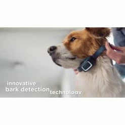 PetSafe Bark Control Dog Collar Spray Refill, Unscented Cartridges, 3 pk. -PetSafe Store 1592319 VIDEO 1 480x270 1200k