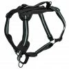 PetSafe Walk Along Reflective Outdoor Dog Harness -PetSafe Store 1592324