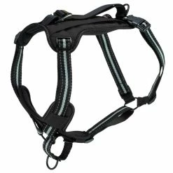 PetSafe Walk Along Reflective Outdoor Dog Harness