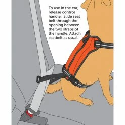 PetSafe Walk Along Reflective Outdoor Dog Harness -PetSafe Store 1592324 A4