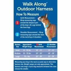 PetSafe Walk Along Reflective Outdoor Dog Harness -PetSafe Store 1592324 A5