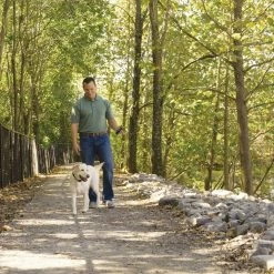 PetSafe Remote Dog Trainer Transmitter Hand Strap 13 PetSafe Remote Dog Trainer Transmitter Hand Strap -PetSafe Store 1592381 A3