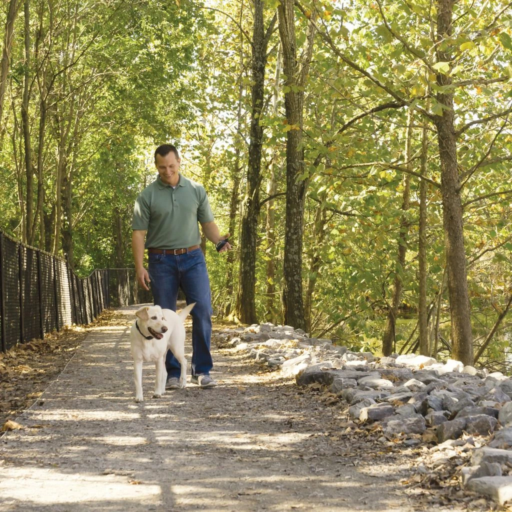 PetSafe Remote Dog Trainer Transmitter Hand Strap 6 PetSafe Remote Dog Trainer Transmitter Hand Strap - Image 4