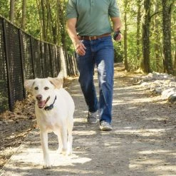 PetSafe Remote Dog Trainer Transmitter Hand Strap 15 PetSafe Remote Dog Trainer Transmitter Hand Strap -PetSafe Store 1592381 A5