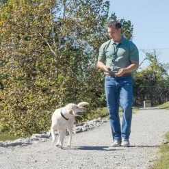 PetSafe Remote Transmitter Dog Trainer Lanyard 12 PetSafe Remote Transmitter Dog Trainer Lanyard -PetSafe Store 1592382 A5