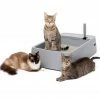 PetSafe Multi-Cat Litter Box -PetSafe Store 1923048