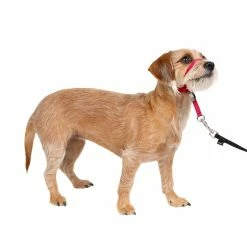 PetSafe Gentle Leader Quick Release Dog Head Collar 19 PetSafe Gentle Leader Quick Release Dog Head Collar -PetSafe Store 2428385