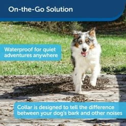 PetSafe Basic Bark Control Collar -PetSafe Store 3608637 A2