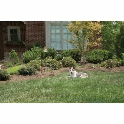 PetSafe 0.25 Acres Operating Range Outdoor Bark Control Device -PetSafe Store 3690147 A7