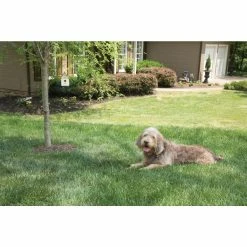 PetSafe 0.25 Acres Operating Range Outdoor Bark Control Device -PetSafe Store 3690147 A8