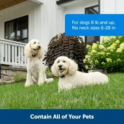 PetSafe Wireless Pet Containment System Receiver Collar -PetSafe Store 3691054 A3