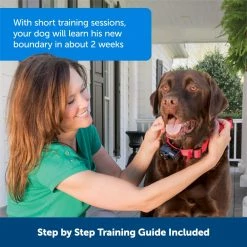 PetSafe Wireless Pet Containment System Receiver Collar -PetSafe Store 3691054 A4