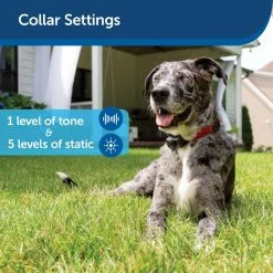 PetSafe Ultralight Receiver Collar 12 PetSafe Ultralight Receiver Collar -PetSafe Store 3691169 A3